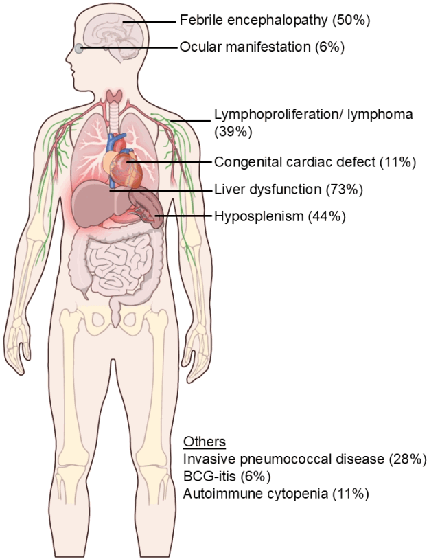 Fig. 2.