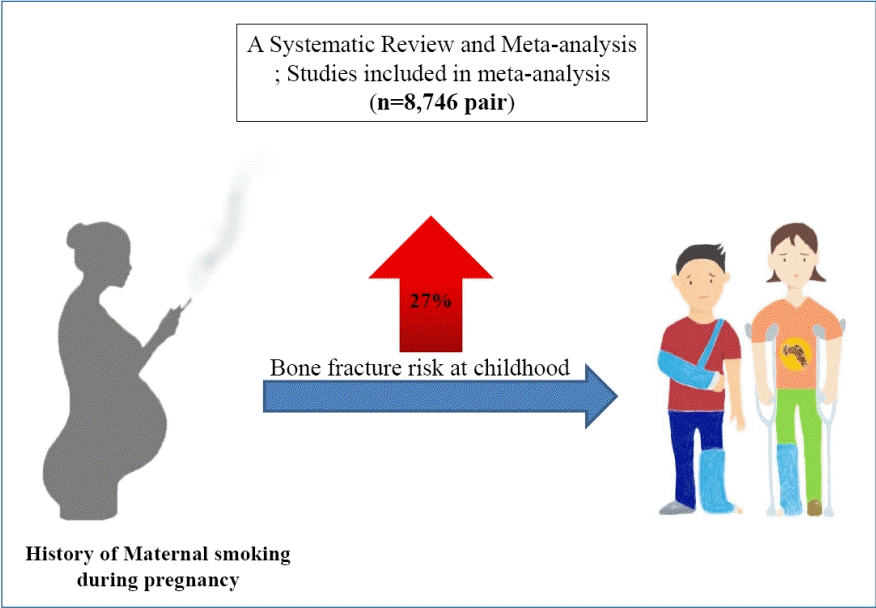 Association Between Maternal Smoking During Pregnancy And Risk Of Bone Fractures In Offspring A