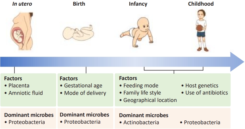 Factors influencing development of the infant microbiota: from prenatal ...