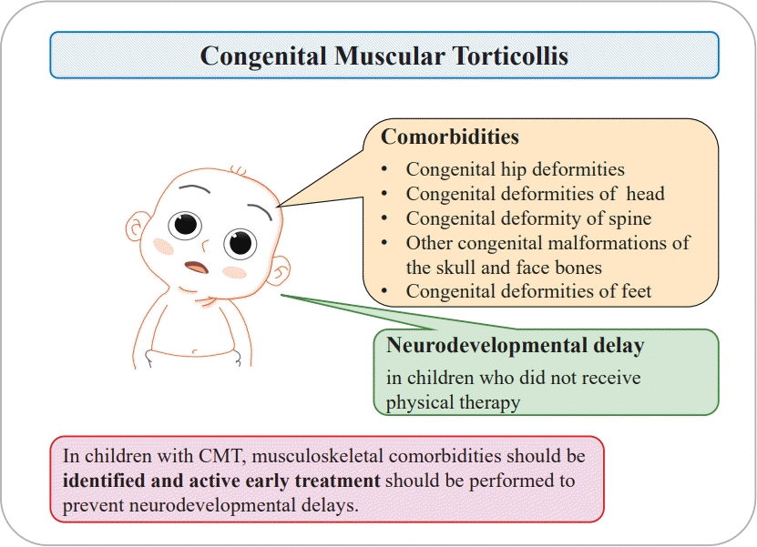 Graphical abstract.