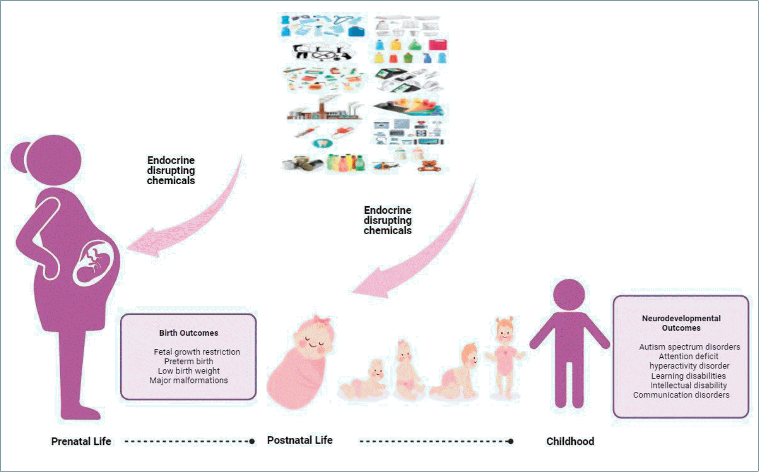 Graphical Abstract Association Between Pre And Postnatal Exposure To