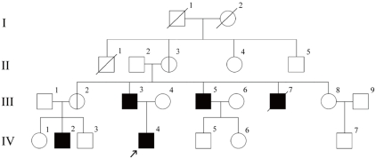 An atypical phenotype of hypokalemic periodic paralysis caused by a ...